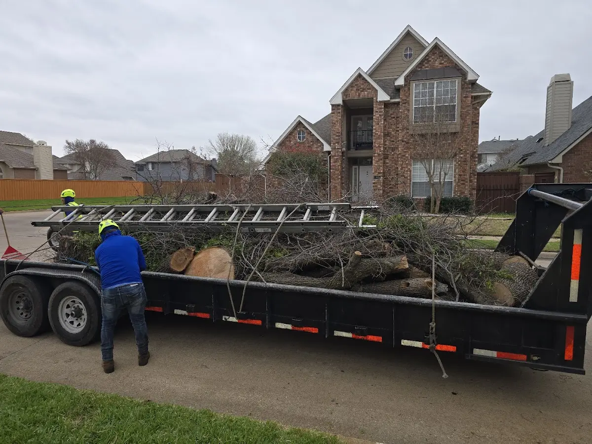 Expert Crown Reduction with proper safety equipment in Keysville